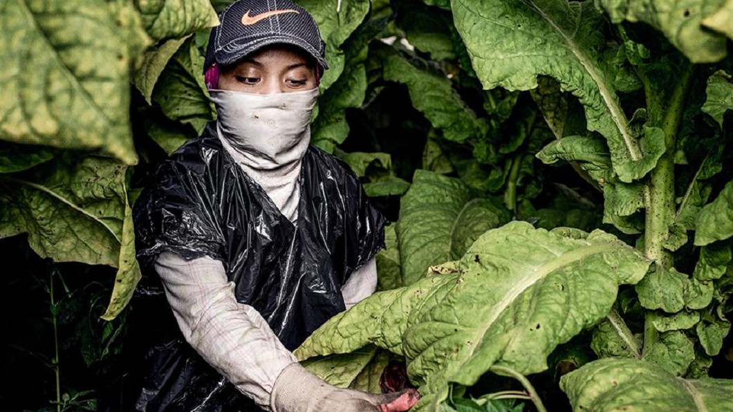 Midwest Dispatch: Illegal Child Labor is Alive and Kicking in the United States