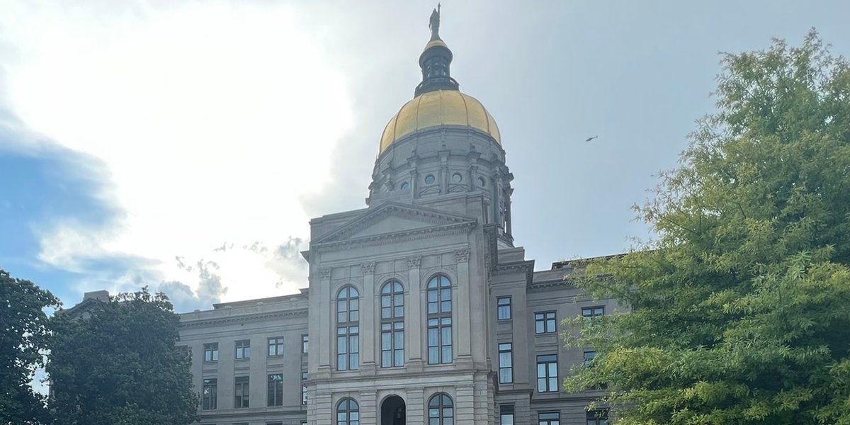 New Georgia House member steps aside after drug arrest