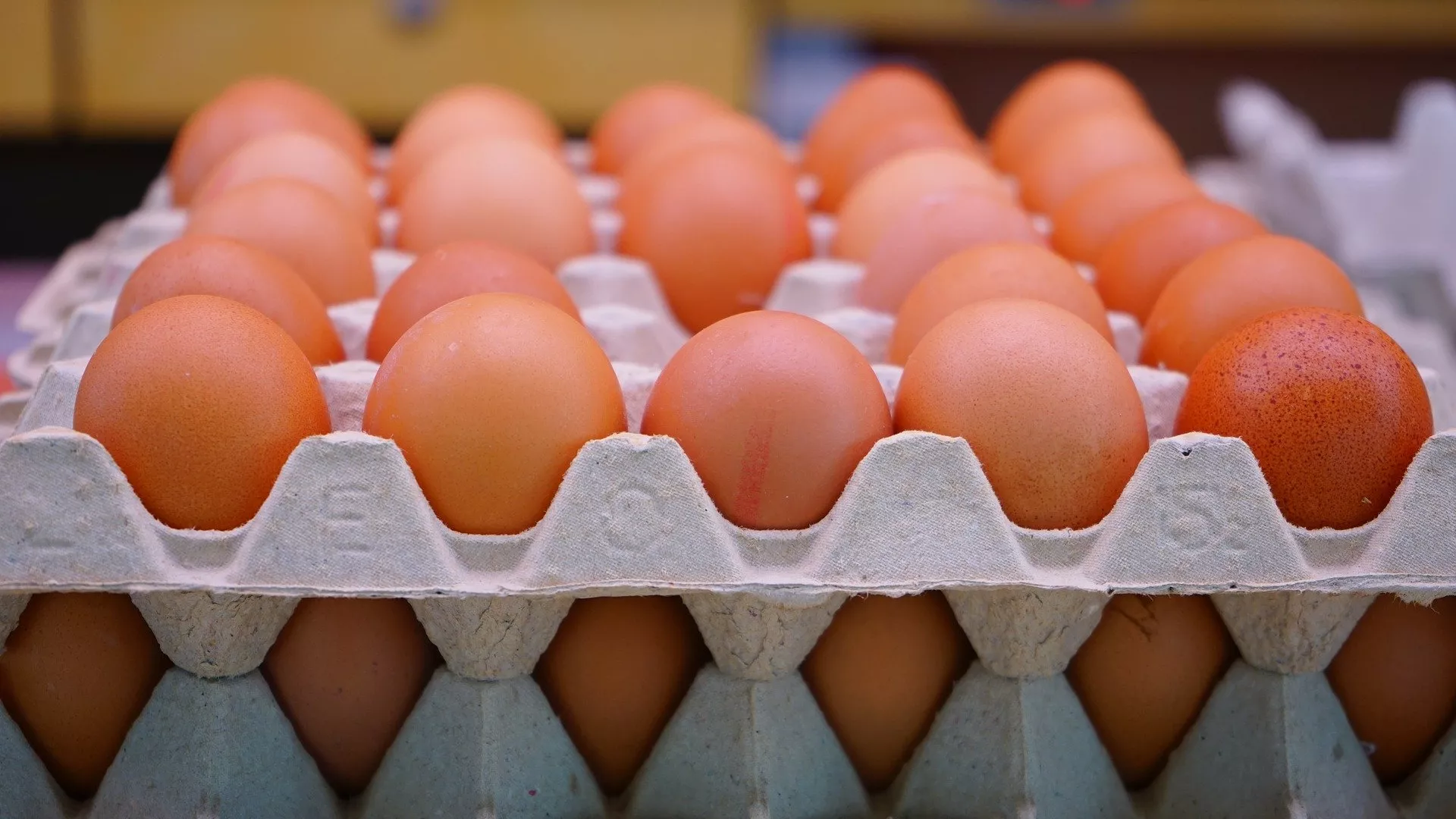 The Yolk Standoff: US Border Patrol Destroying ‘Thousands’ of Eggs a Day at Tijuana Border