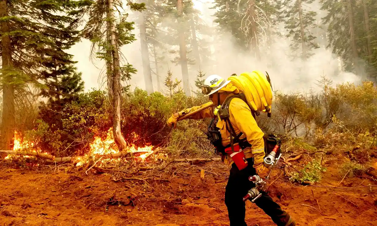 Biden’s efforts to clear wildfire fuel in US forests are falling short