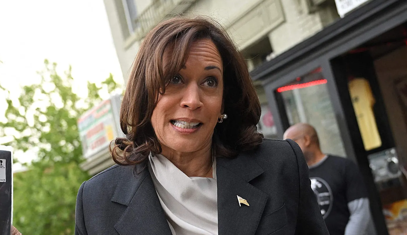Kamala Harris’ demands for ‘assault weapons ban’ jeered: ‘Heading out to buy some more’