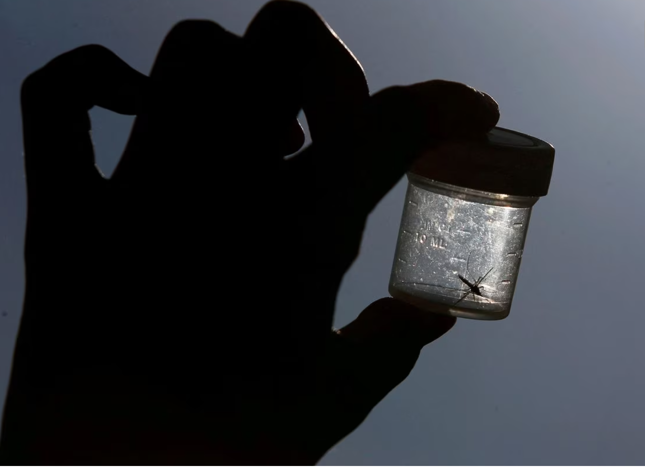 First U.S. malaria cases diagnosed in decades in Florida and Texas