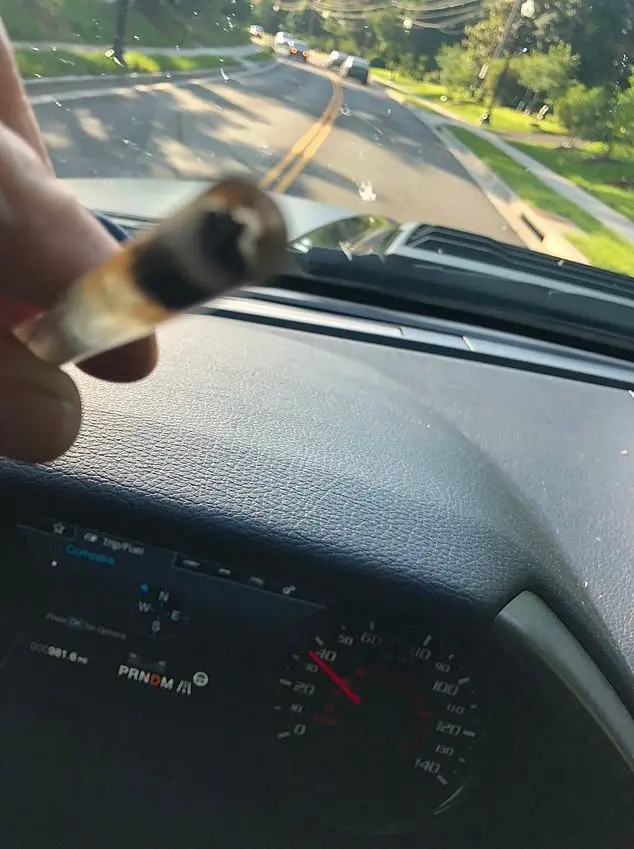Hunter Biden filmed himself smoking crack behind the wheel, driving at 172 mph on way to Vegas: photos