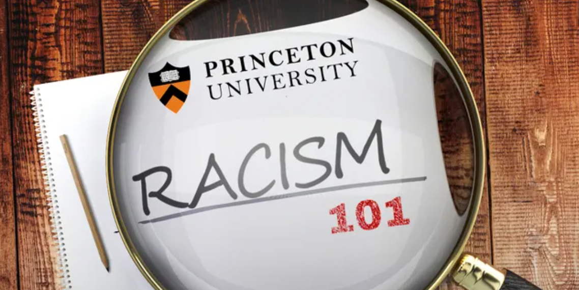Princeton anti-capitalist class teaching Black people should be considered handicapped due to systemic racism