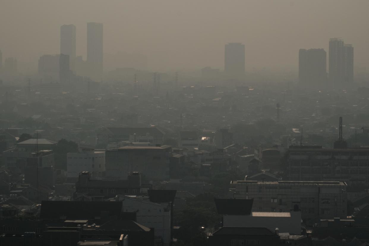 Dirty air biggest external threat to human health, study finds