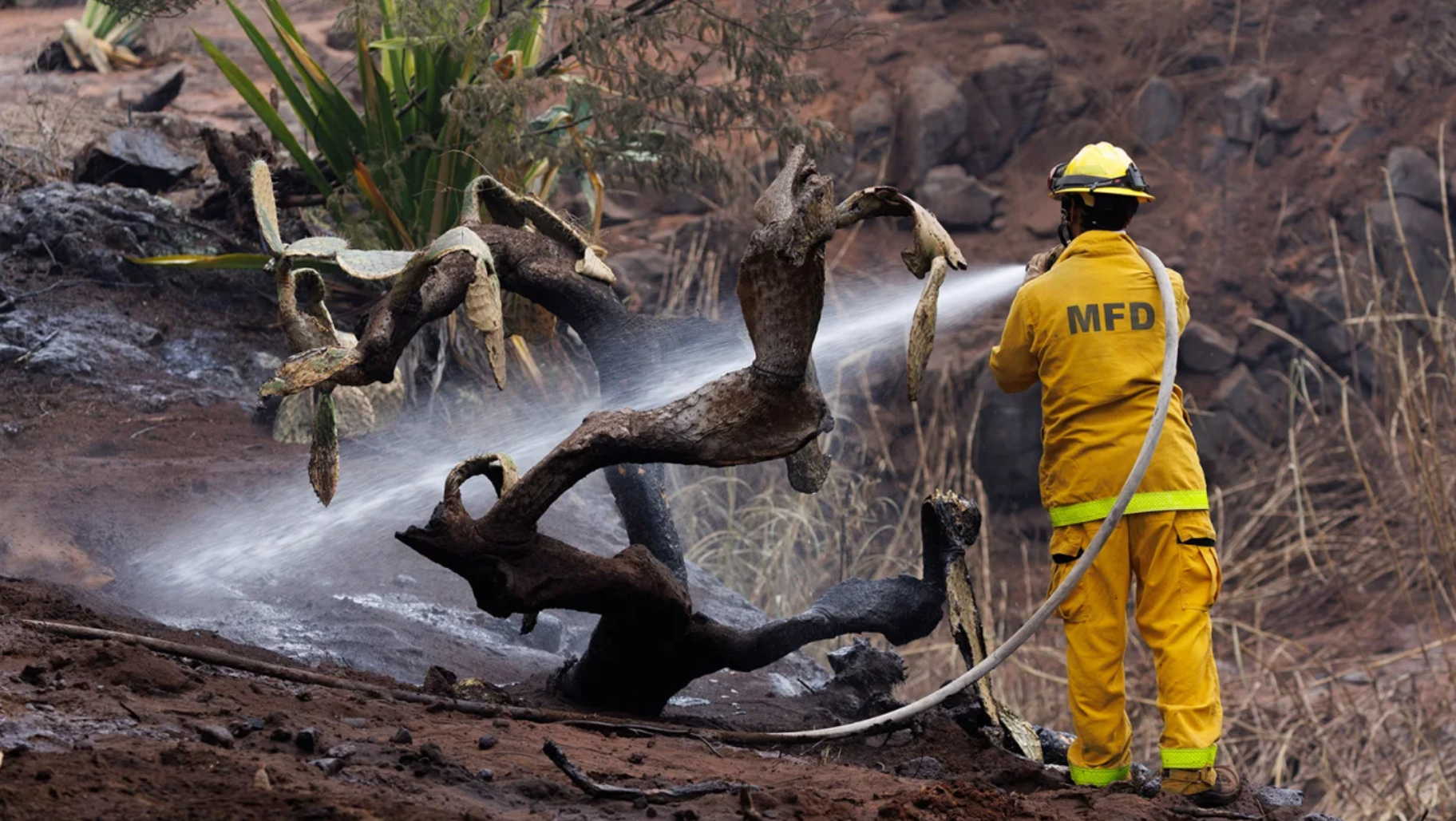 The death toll from the Maui wildfires stands at 93. Here’s what we know about the deadliest US fire in over a century