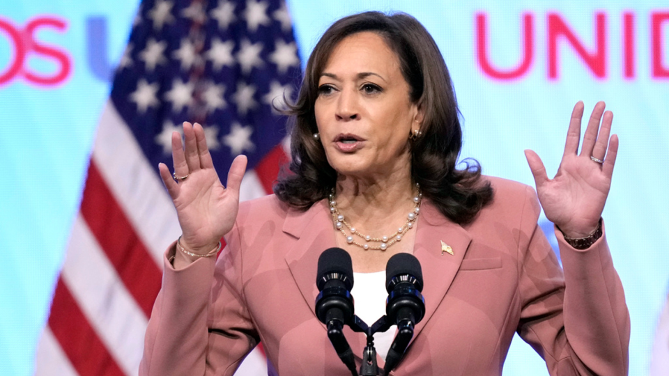 Harris touts investment in ‘clean energy economy’ on Inflation Reduction Act anniversary