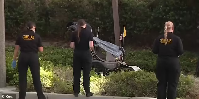 California jogger charged with killing a homeless man who was blocking ...