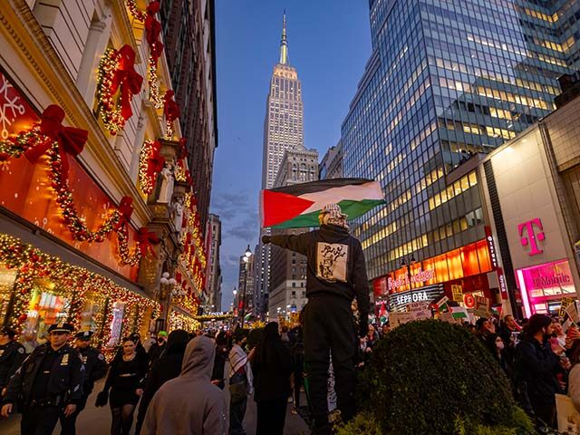 WATCH: Pro-Palestinian Protesters in NYC Honor Veterans Day by Ripping Down U.S. Flags