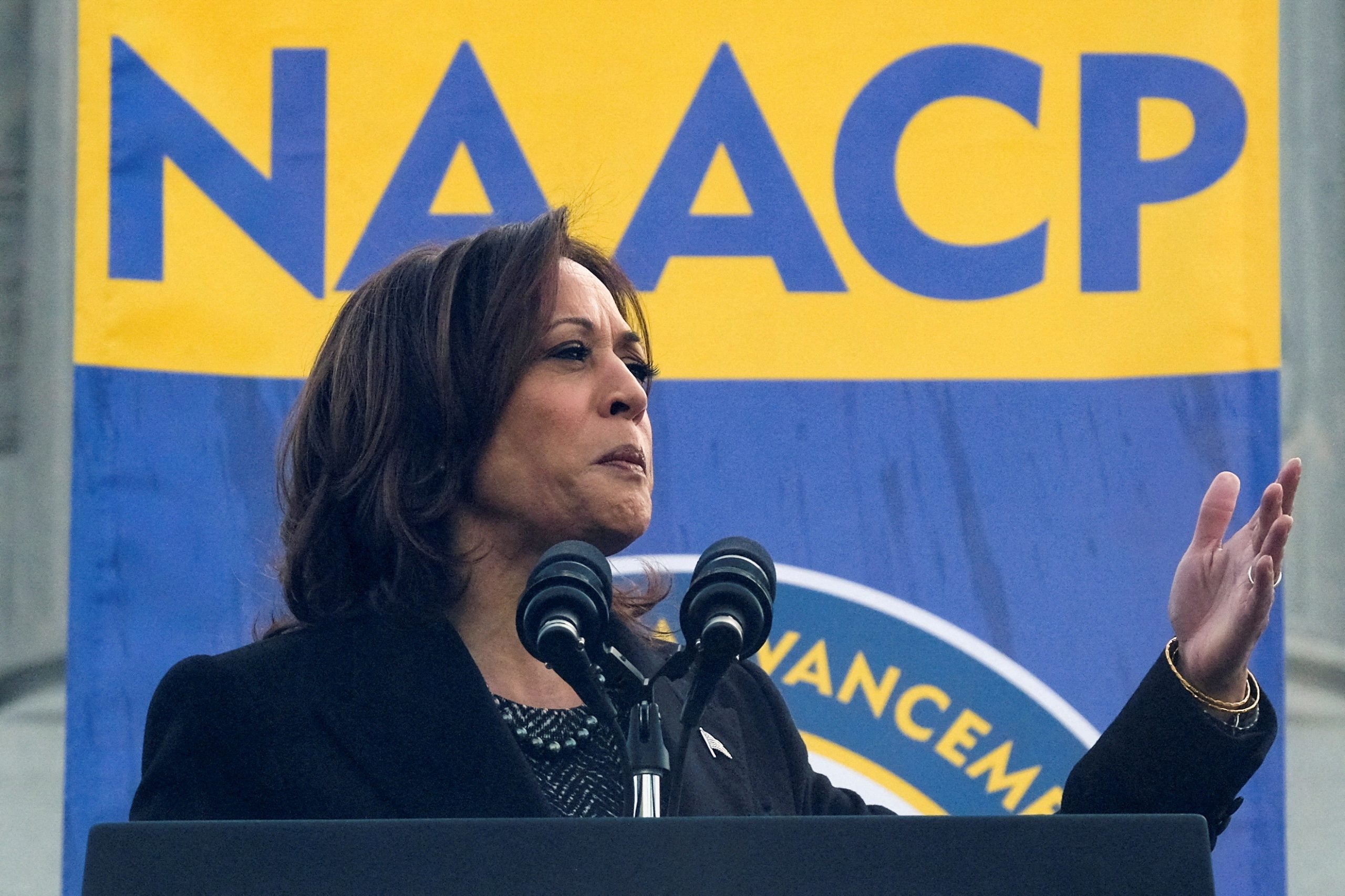 ‘We will fight,’ Harris says in MLK Day speech, warning of threats to US freedom