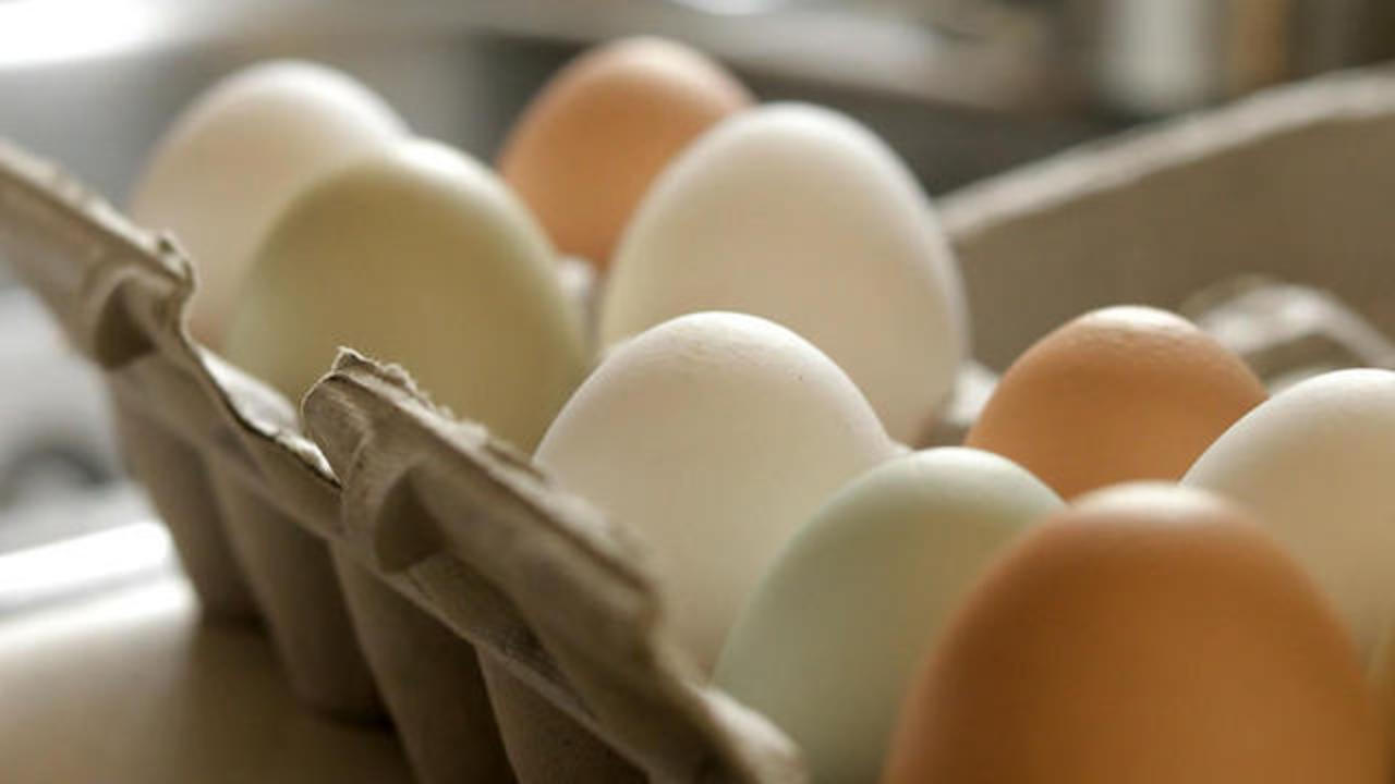 Largest fresh egg producer in U.S. finds bird flu in chickens at Texas and Michigan plants