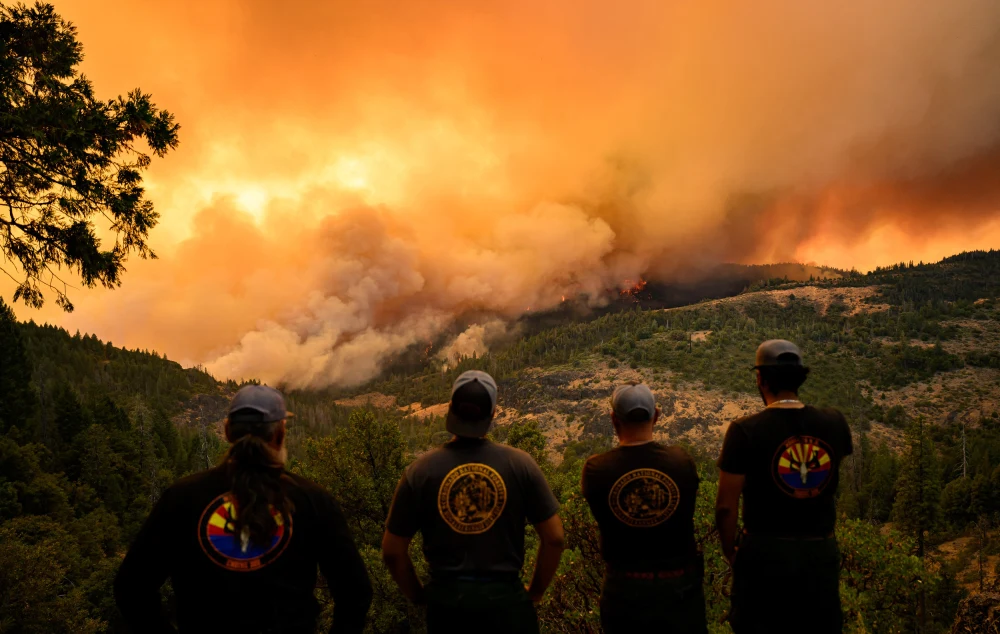 Wildfire smoke is probably harming your brain