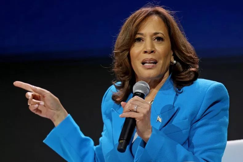 What a Kamala Harris Presidency Could Look Like