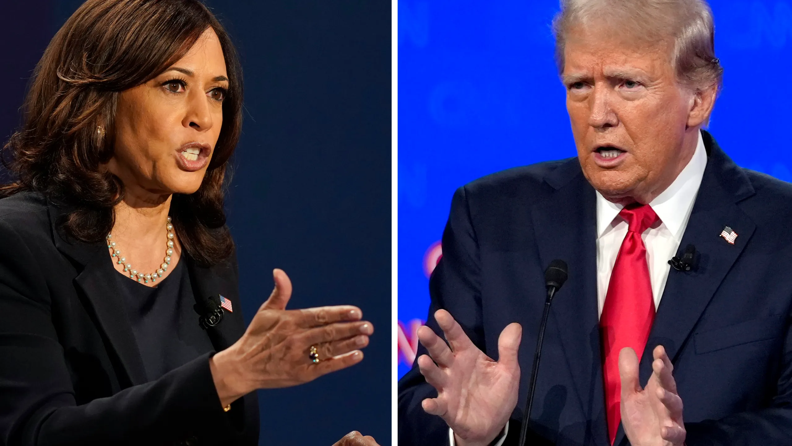 Former Trump adviser, ex-senator debate merits of Harris campaign