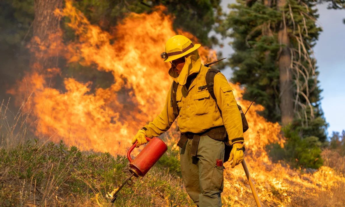 Fast-moving San Bernardino wildfire torches hillside community, forcing evacuations