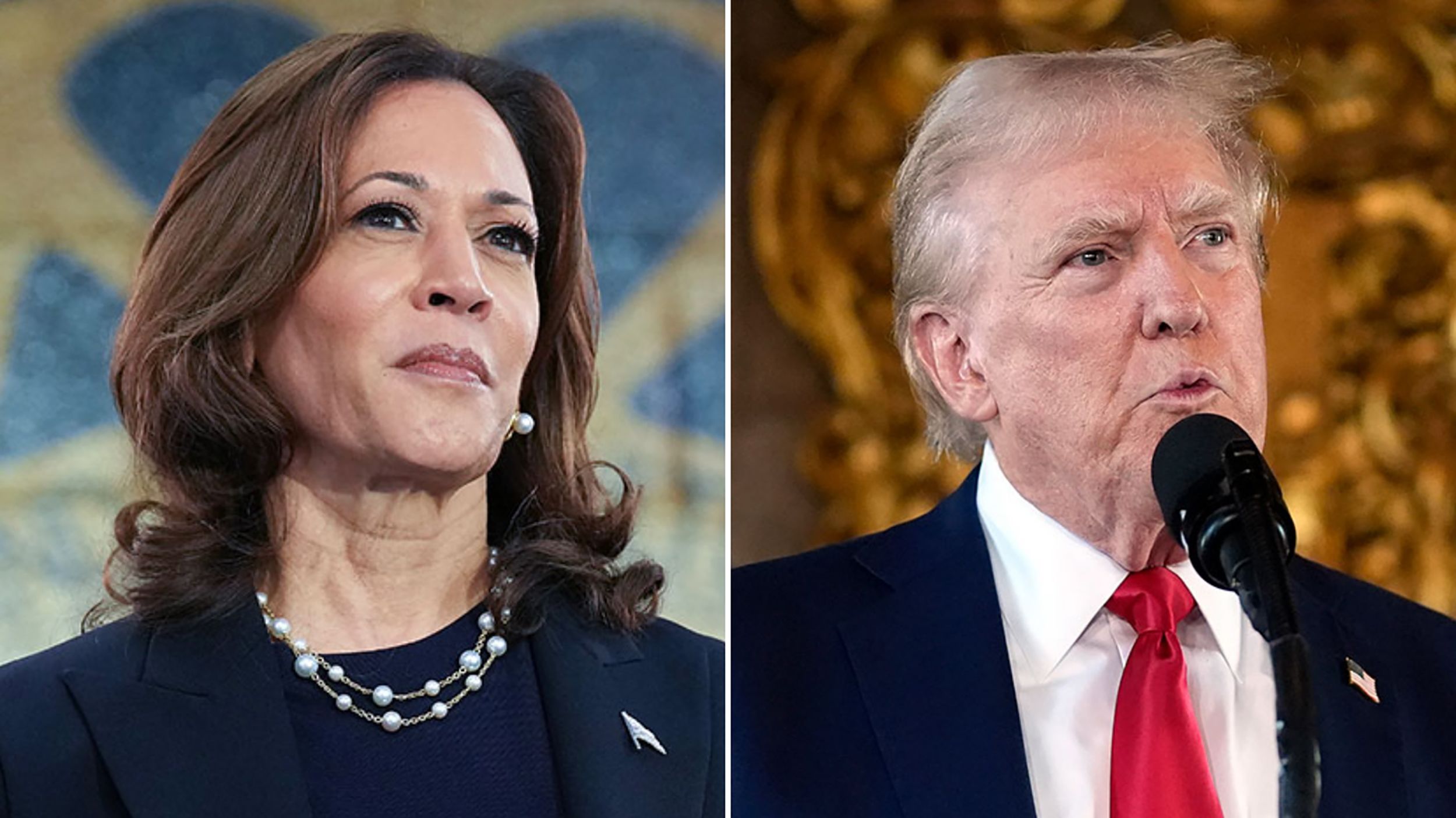 ‘Dumb’ Harris always gives the ‘exact same speech’ – Trump