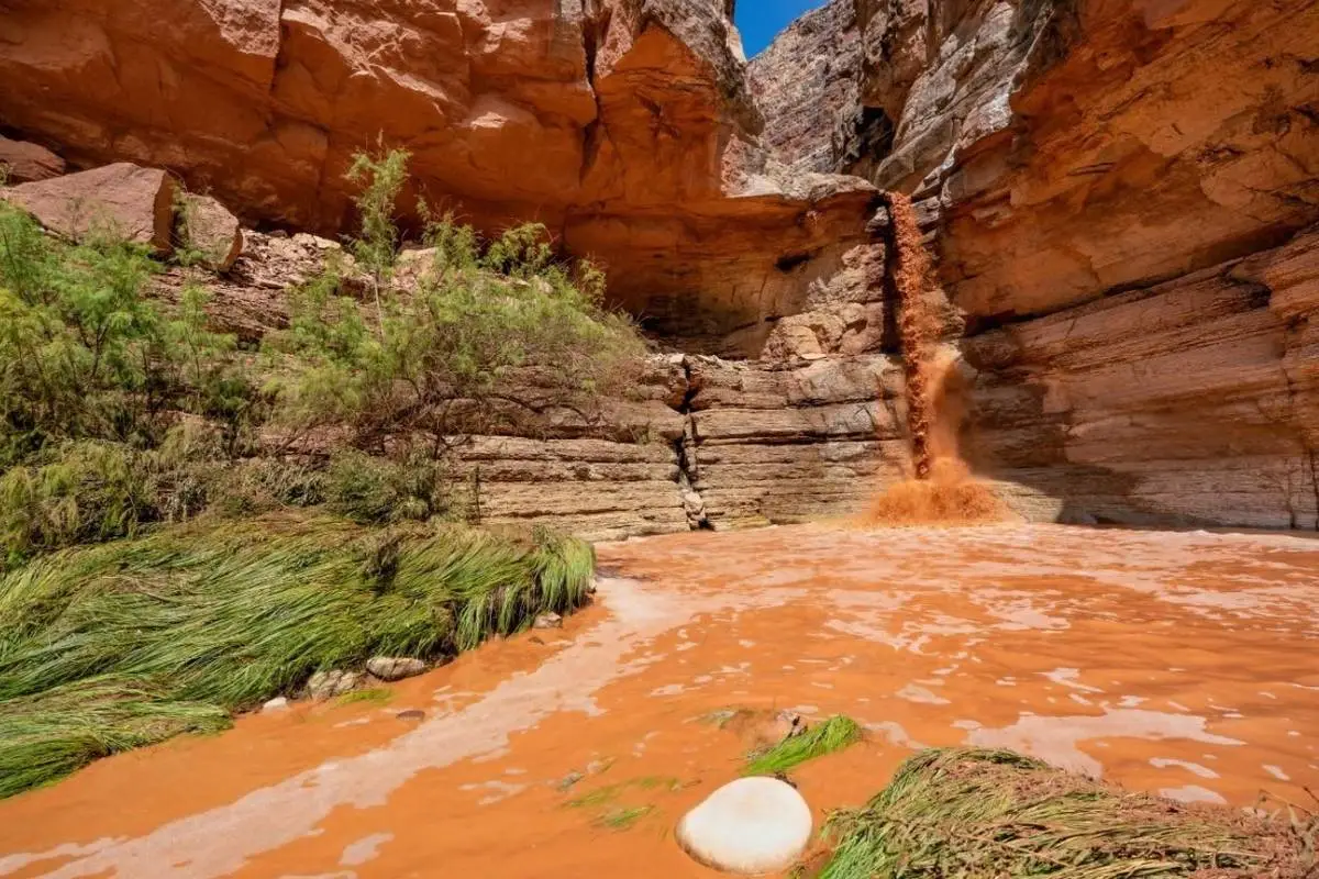 Hiker missing after getting swept into Grand Canyon creek during flash flood: NPS