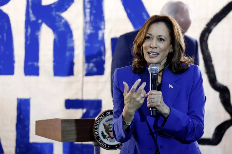 Democrats Confronted With Criticism of Kamala Harris’ New Economic Plan