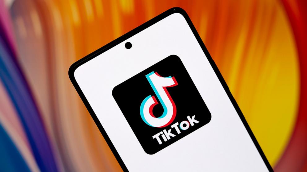 TikTok denied emergency request to stop ban from taking effect