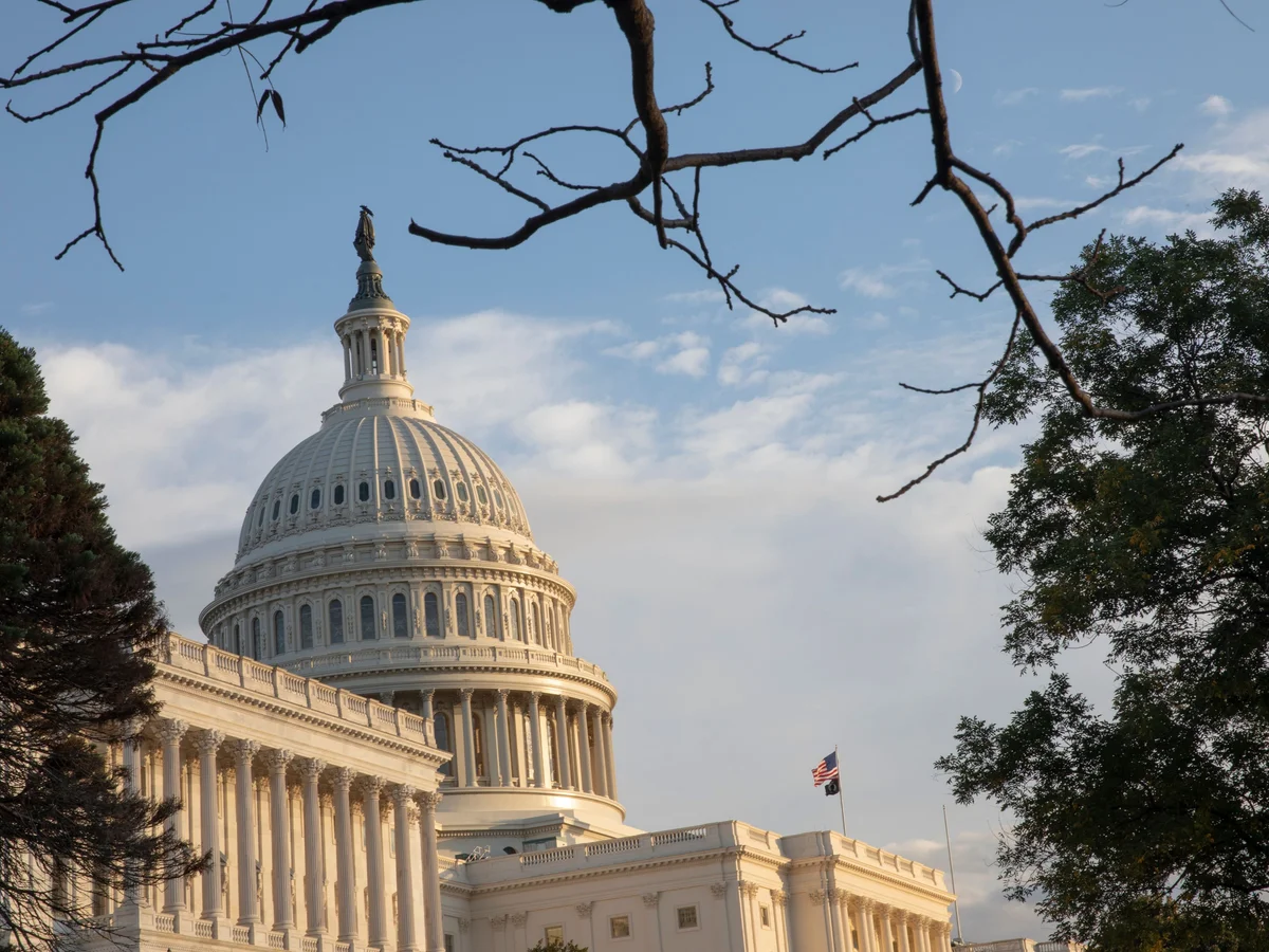 Man arrested for trying to bring machete into US Capitol visitor center