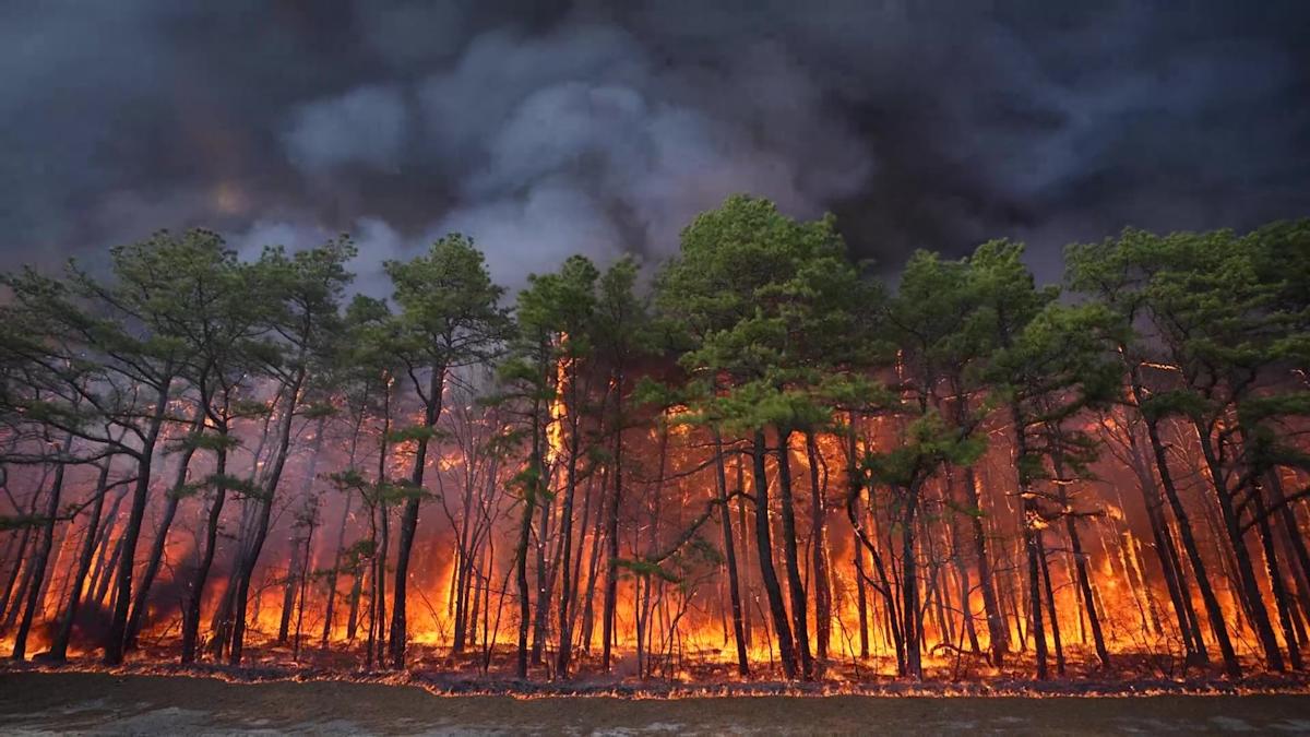 New Jersey wildfire explodes to 13,250 acres, could be largest in nearly 20 years