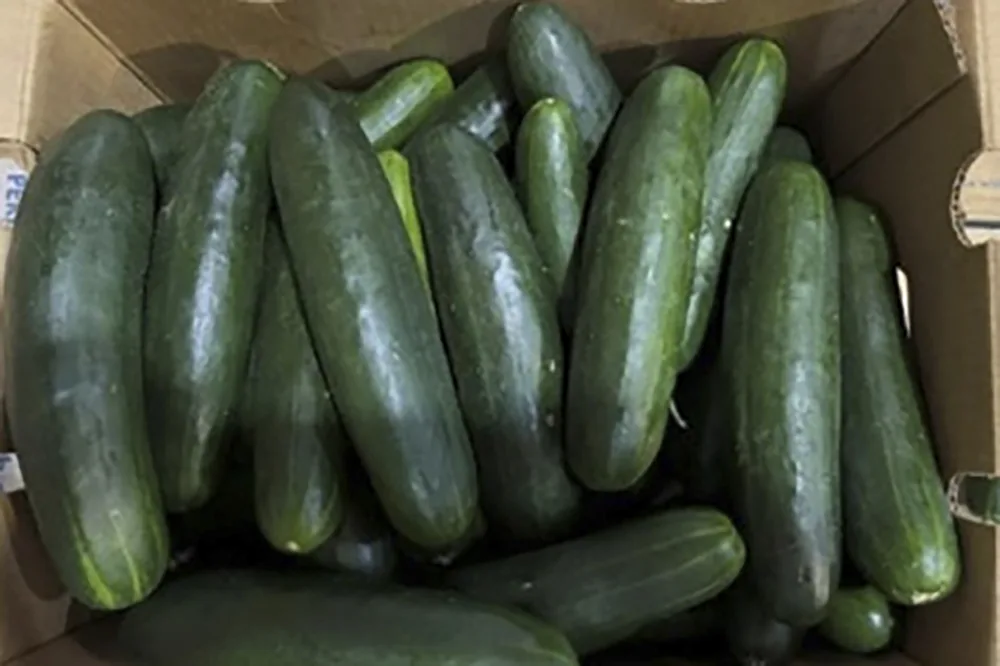 Salmonella outbreak in cucumbers expands to 18 states, 45 sickened