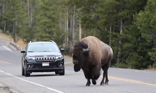 Idaho police release the names of 6 killed in Yellowstone crash