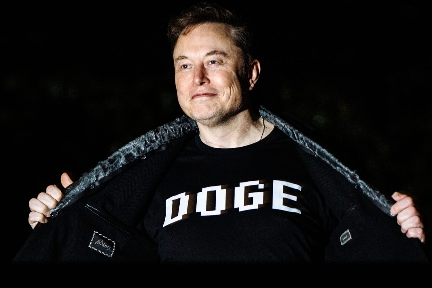 State versions of DOGE take more modest approaches than Elon Musk’s shock-and-awe moves in Washington