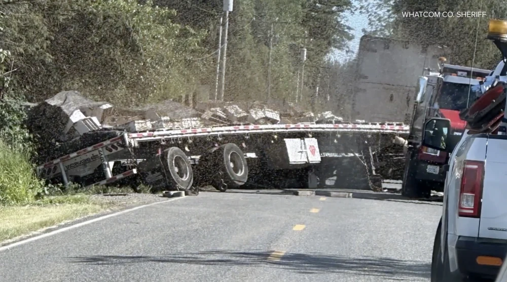 Volunteer beekeepers swarm to rescue spilled hives after crash