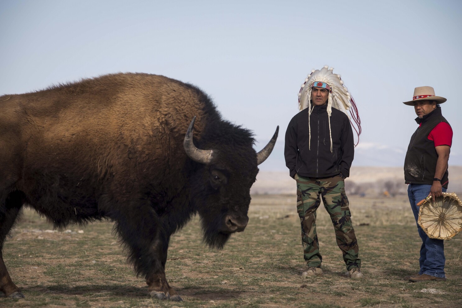 Man gored by bison in year’s first attack by Yellowstone’s most dangerous wild animal