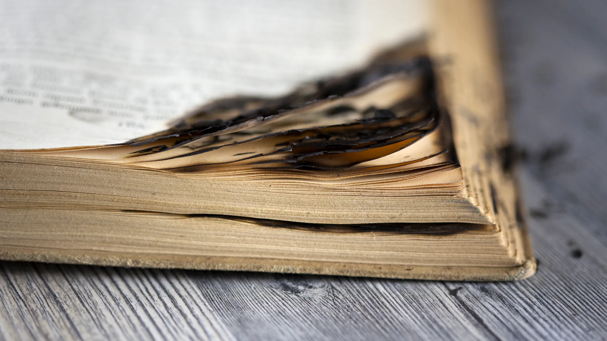 Faith leaders denounce US book burning as hate-fuelled intimidation