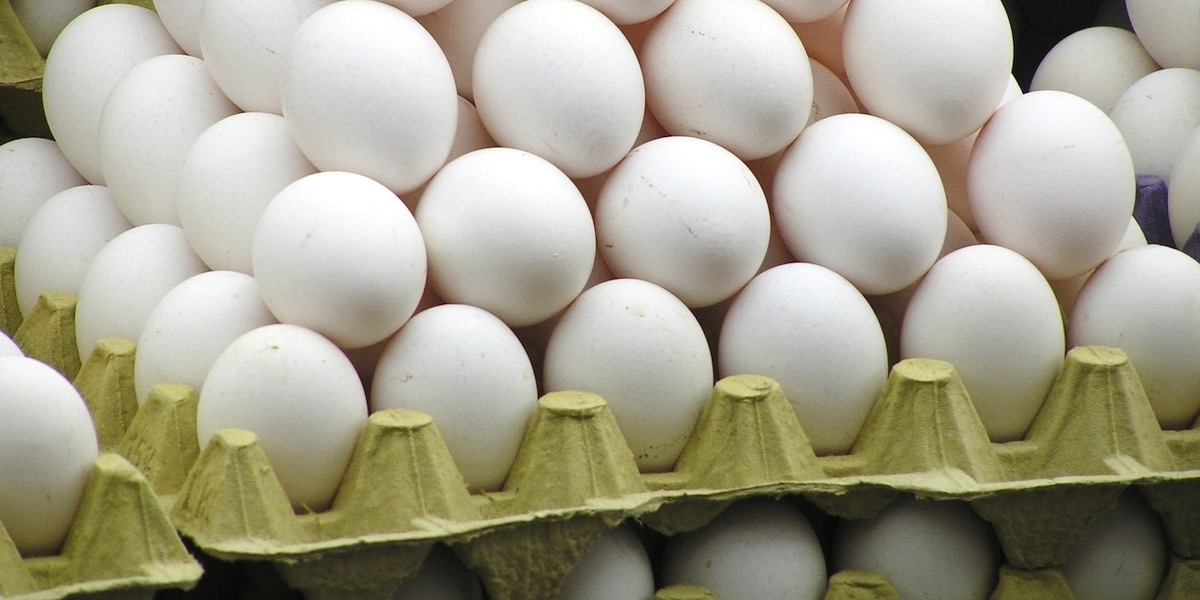 Salmonella outbreak tied to eggs sickens dozens across 7 states