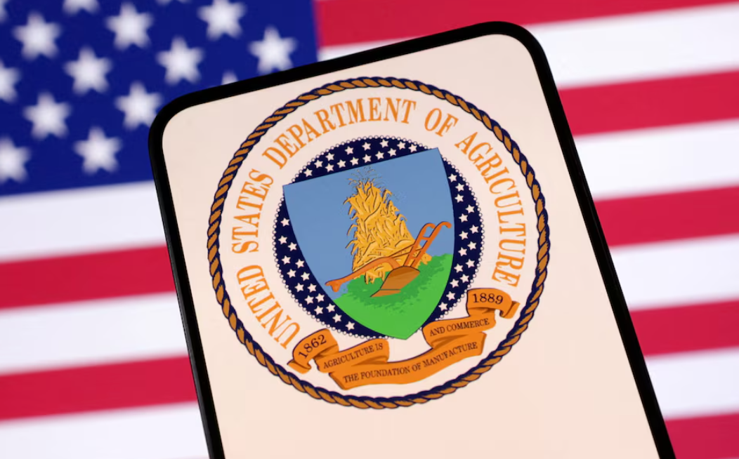 Trump administration to open undeveloped forests to mining, logging