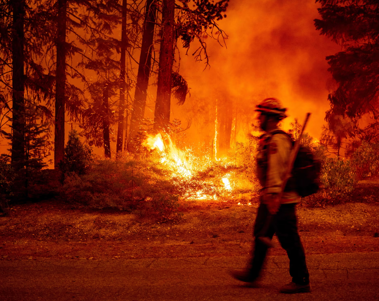 Trump to merge wildland firefighting forces, despite warning of chaos