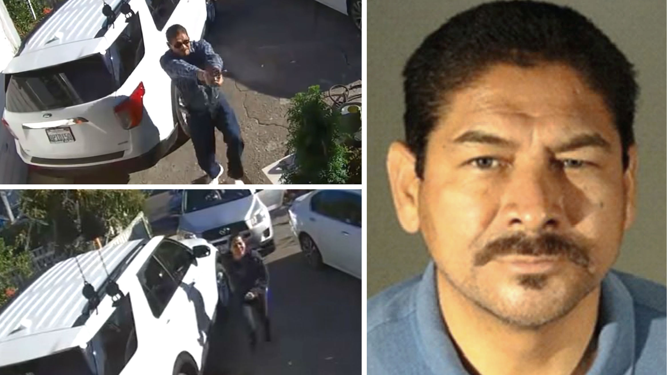 21-year-old charged in murder of Bay Area woman walking dogs