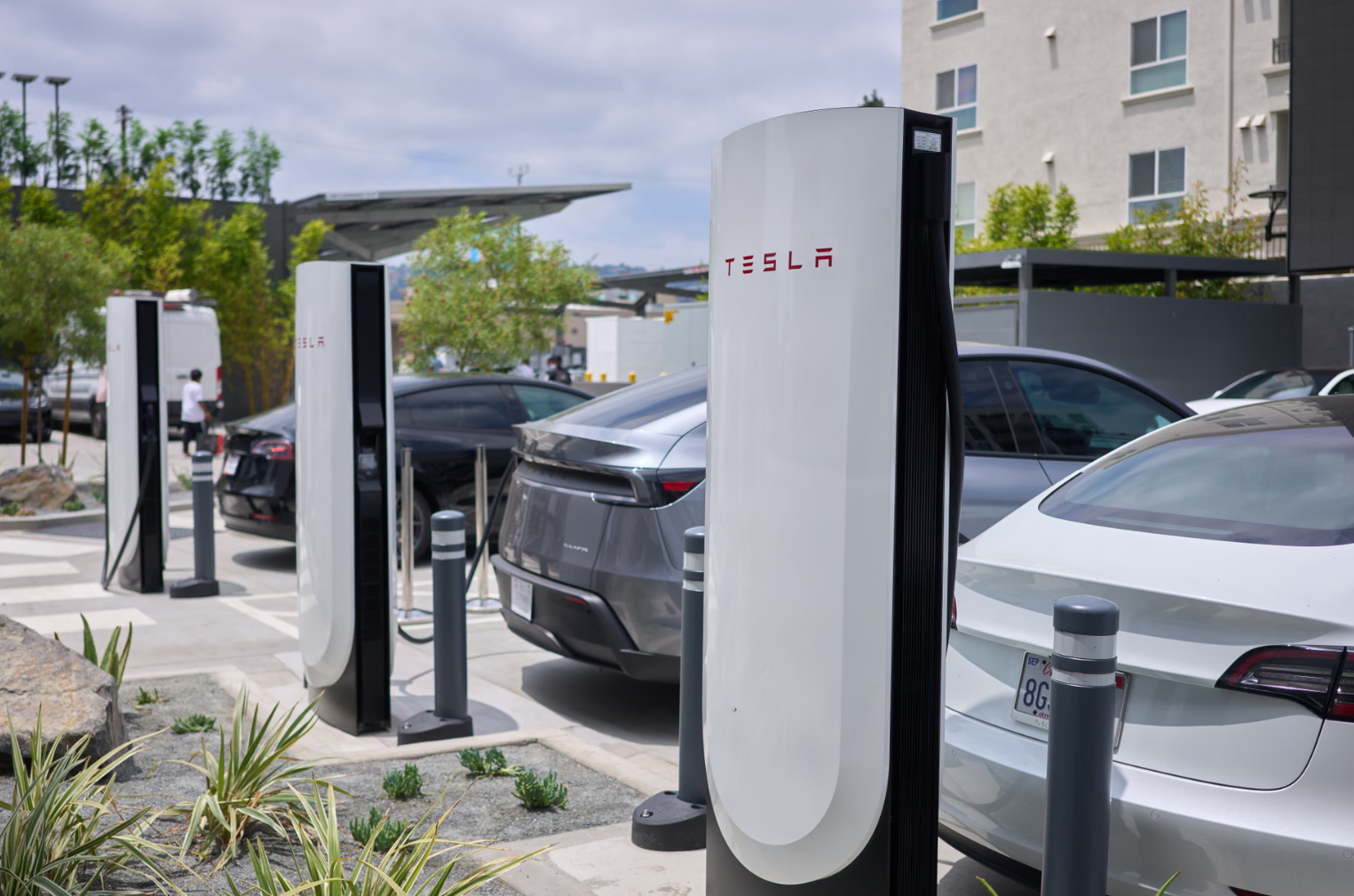 Tesla reports declines in revenue and profit amid shaky financial year