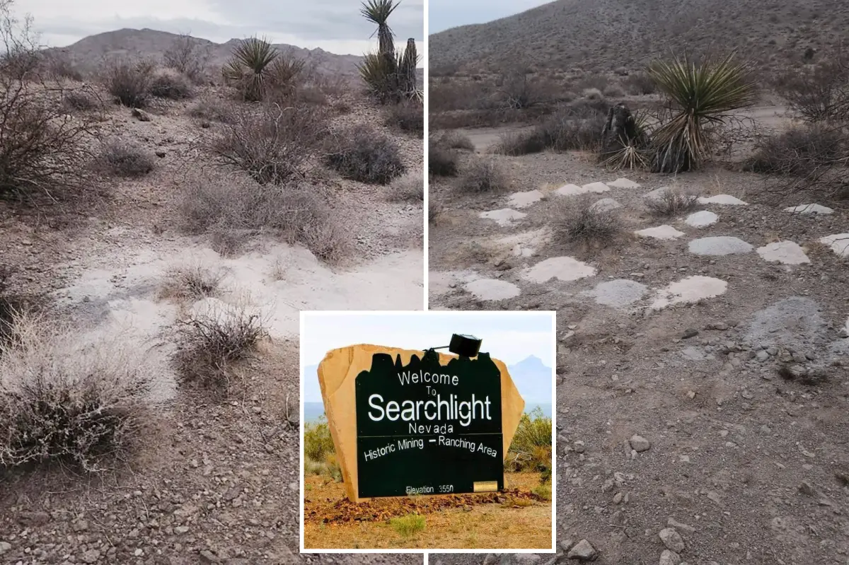 Federal officials investigate discovery of cremated human remains in Nevada desert
