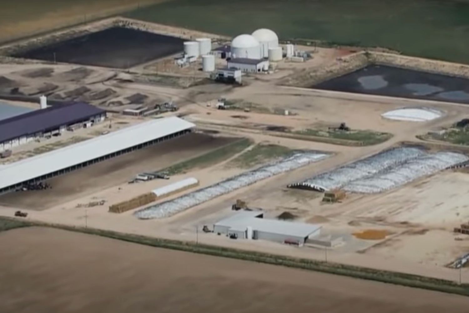 6 dead in accident at Colorado dairy farm: Fire chief