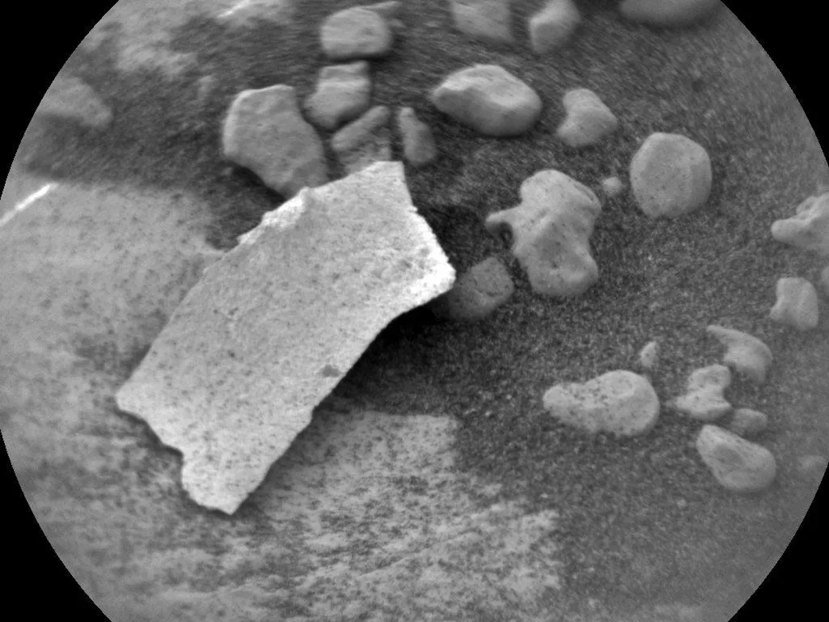 NASA finds coral-shaped rock on Mars that could be billions of years old