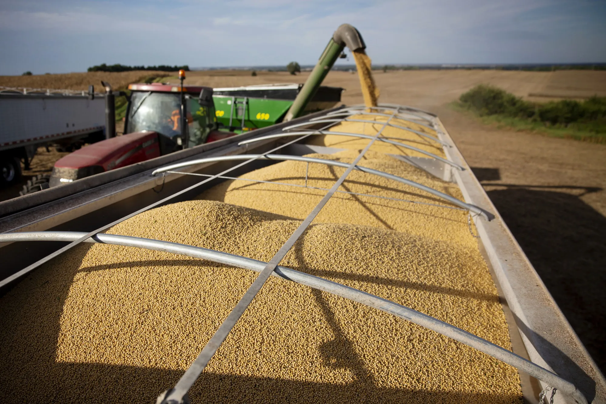 Soybean farmers caught in looming crisis as US trade war with China cripples sales