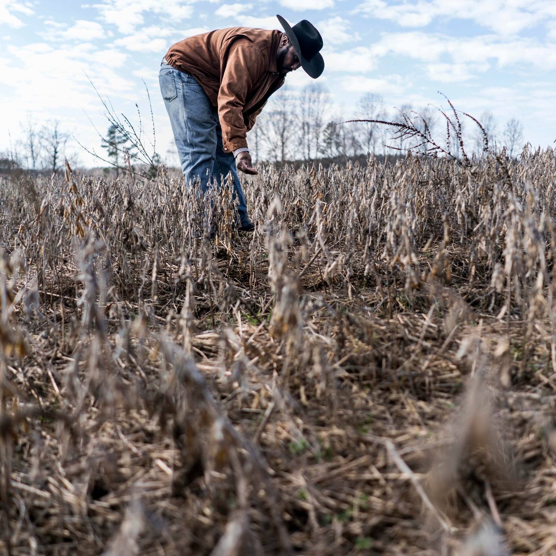 More pain for US farmers as government shutdown halts payments