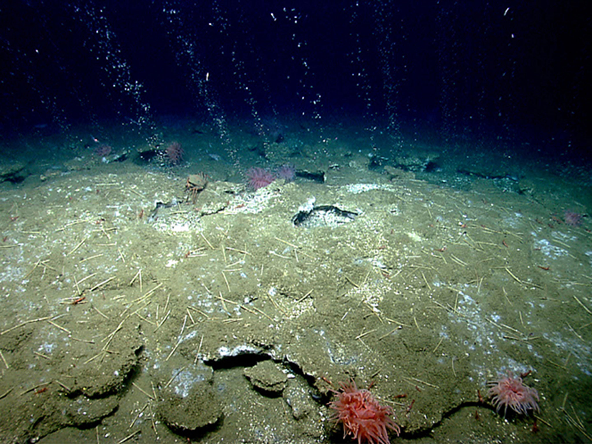 Researchers find methane leaking out of cracks in Antarctic seabed