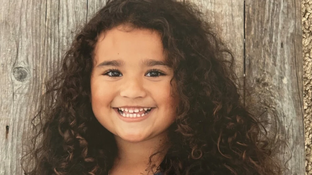 Investigators believe car carrying missing California girl had license plate swapped to avoid detection