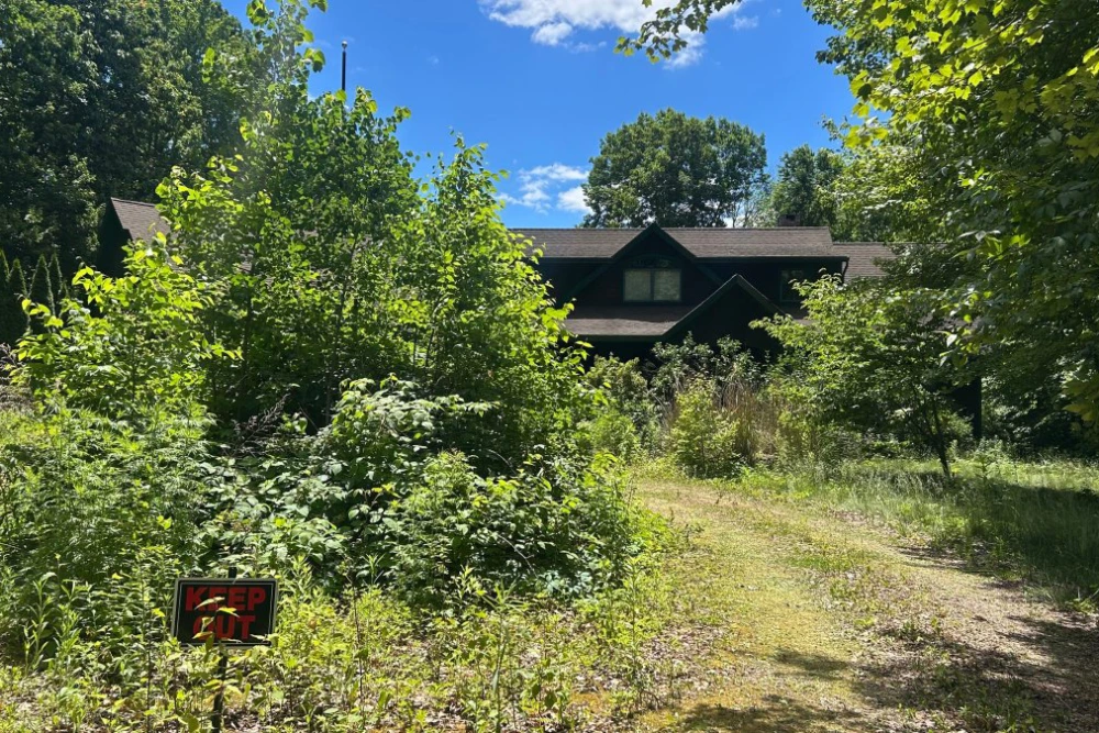 Mother and son identified as skeletal remains found in Connecticut home bought at auction