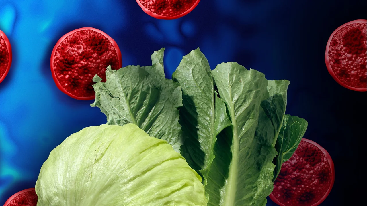 Michigan reports 2 deaths in cyclosporiasis outbreak